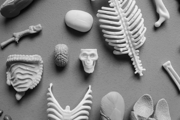 Solutions Médicamenteuses Innovantes pour Combattre l'Obésité